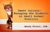 Wendy Blount, DVM Sweet Success: Managing the Diabetic in Small Animal Practice.