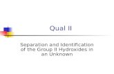 Qual II Separation and Identification of the Group II Hydroxides in an Unknown.