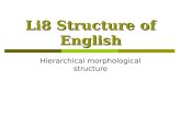 Li8 Structure of English Hierarchical morphological structure.
