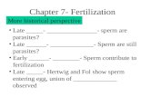 Chapter 7- Fertilization Late _____- _______________- sperm are parasites? Late ______- _____________- Sperm are still parasites? Early ______- ________-