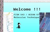 Welcome !!! FISH 543 / OCEAN 575 Molecular Techniques.