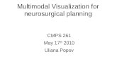 Multimodal Visualization for neurosurgical planning CMPS 261 May 17 th 2010 Uliana Popov.