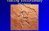 Tracing Evolutionary History. Macroevolution Dating Prehistoric Material Radioactive Isotopes Carbon 14 Potassium 40.