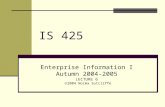 IS 425 Enterprise Information I Autumn 2004-2005 LECTURE 6  2004 Norma Sutcliffe.