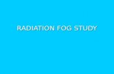 RADIATION FOG STUDY. Office Stats 00z ELM TAF 00z ELM TAF POD for FG – 0.53 POD for FG – 0.53 FAR – 0.55 FAR – 0.55 06z ELM TAF 06z ELM TAF POD for FG.