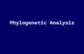Phylogenetic Analysis. General comments on phylogenetics Phylogenetics is the branch of biology that deals with evolutionary relatedness Uses some measure.