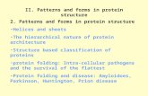 II. Patterns and forms in protein structure 2. Patterns and forms in protein structure Helices and sheets The hierarchical nature of protein architecture.