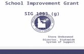 School Improvement Grant SIG 1003 (g) Steve Underwood Director, Statewide System of Support.