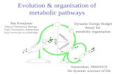 Evolution & organisation of metabolic pathways Bas Kooijman Dept of Theoretical Biology Vrije Universiteit, Amsterdam  Amsterdam,