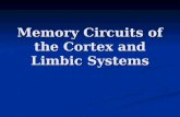 Memory Circuits of the Cortex and Limbic Systems.