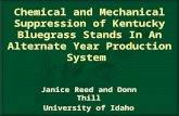 Janice Reed and Donn Thill University of Idaho Janice Reed and Donn Thill University of Idaho Chemical and Mechanical Suppression of Kentucky Bluegrass.
