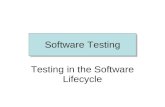 Software Testing Testing in the Software Lifecycle.