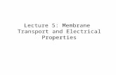 Lecture 5: Membrane Transport and Electrical Properties.