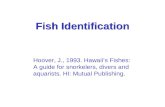 Fish Identification Hoover, J., 1993. Hawaii’s Fishes: A guide for snorkelers, divers and aquarists. HI: Mutual Publishing.