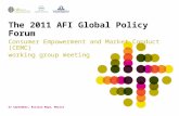 The 2011 AFI Global Policy Forum Consumer Empowerment and Market Conduct (CEMC) working group meeting 27 September, Riviera Maya, Mexico.