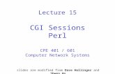 Lecture 15 CGI Sessions Perl CPE 401 / 601 Computer Network Systems slides are modified from Dave Hollinger and Shwen Ho.