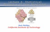 Lecture 4: Statistical Mechanics of Gene Regulation Rob Phillips California Institute of Technology (Beautiful work of David Goodsell)