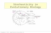 (Stebbins 1971, modified by Kutschera & Niklas 1994) * * * * ? Stochasticity in Evolutionary Biology.