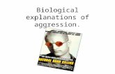 Biological explanations of aggression.. L/objectives ALL: Will be able to Describe how biological and physiological processes affect aggressive behaviour.