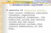 Endocrine system consists of endocrine glands, that secret chemical substance (hormone) regulating physiological responses. The endocrine system and nervous.