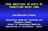 FEED ADDITIVES IN DIETS OF TRANSITION DAIRY COWS José Eduardo P. Santos Veterinary Medicine Teaching and Research Center School of Veterinary Medicine.