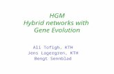 HGM Hybrid networks with Gene Evolution Ali Tofigh, KTH Jens Lagergren, KTH Bengt Sennblad.