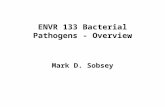 ENVR 133 Bacterial Pathogens - Overview Mark D. Sobsey.