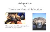 Adaptation & Limits to Natural Selection The complexity of living organisms demands an explanation.