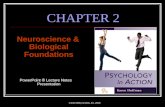 ©John Wiley & Sons, Inc. 2010 CHAPTER 2 Neuroscience & Biological Foundations PowerPoint  Lecture Notes Presentation.