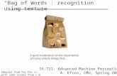 “Bag of Words”: recognition using texture 16-721: Advanced Machine Perception A. Efros, CMU, Spring 2006 Adopted from Fei-Fei Li, with some slides from.