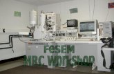 MRC SEM Workshop zIntroduce the FESEM microscope zFamiliarize and Train experienced persons to use the Hitachi S4700 FESEM zObtain a better understanding.
