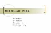 Molecular Data DNA/RNA Protein Expression Interaction.