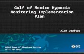 Gulf of Mexico Hypoxia Monitoring Implementation Plan GCOOS Board of Directors Meeting 26-27 Feb 2008 Alan Lewitus.