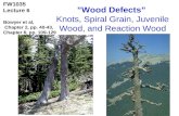 1 ”Wood Defects” Knots, Spiral Grain, Juvenile Wood, and Reaction Wood FW1035 Lecture 6 Bowyer et al, Chapter 2, pp. 40-43, Chapter 6, pp. 109-129.