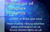 Evolution of Complex Systems Lecture 6: Brain and mind Peter Andras / Bruce Charlton peter.andras@ncl.ac.ukbruce.charlton@ncl.ac.uk.