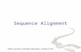 Sequence Alignment Slides courtesy of Serafim Batzoglou, Stanford Univ.