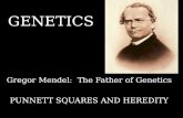 GENETICS Gregor Mendel: The Father of Genetics PUNNETT SQUARES AND HEREDITY.