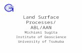 Land Surface Processes/ ABL/AAN Michiaki Sugita Institute of Geoscience University of Tsukuba.