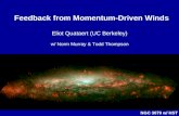 Feedback from Momentum-Driven Winds Eliot Quataert (UC Berkeley) w/ Norm Murray & Todd Thompson NGC 3079 w/ HST.
