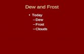 Dew and Frost Today –Dew –Frost –Clouds. Condensation nucleus demonstration.