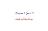 Chapter 9 (part 1) Lipids and Membranes. Lipid Subclasses.