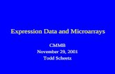 Expression Data and Microarrays CMMB November 29, 2001 Todd Scheetz.
