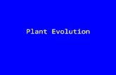 Plant Evolution. The Plant Kingdom Nearly all are multicelled Vast majority are photoautotrophs –Energy from sun –Carbon dioxide from air –Minerals dissolved.
