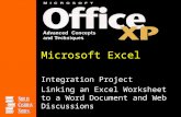 Microsoft Excel Integration Project Linking an Excel Worksheet to a Word Document and Web Discussions.