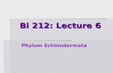 Bi 212: Lecture 6 Phylum Echinodermata. Phylum Echinodermata: Spiny-skinned.