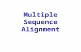 Multiple Sequence Alignment. Alignment can be easy or difficult Easy Difficult due to insertions or deletions (indels)