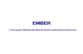 EMBER A European Multimedia Bioinformatics Educational Resource.