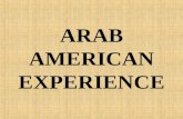 ARAB AMERICAN EXPERIENCE. OVERVIEW Definition of an Arab American Identify Arab American Demographics Arab American immigration Arab American cultural.