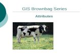 GIS Brownbag Series Attributes. In the beginning… Earliest GIS systems did not have attributes Needed separate layers for labels (e.g. names) CAD software.