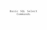 Basic SQL Select Commands. Basic Relational Query Operations Selection Projection Natural Join Sorting Aggregation: Max, Min, Sum, Count, Avg –Total –Sub.